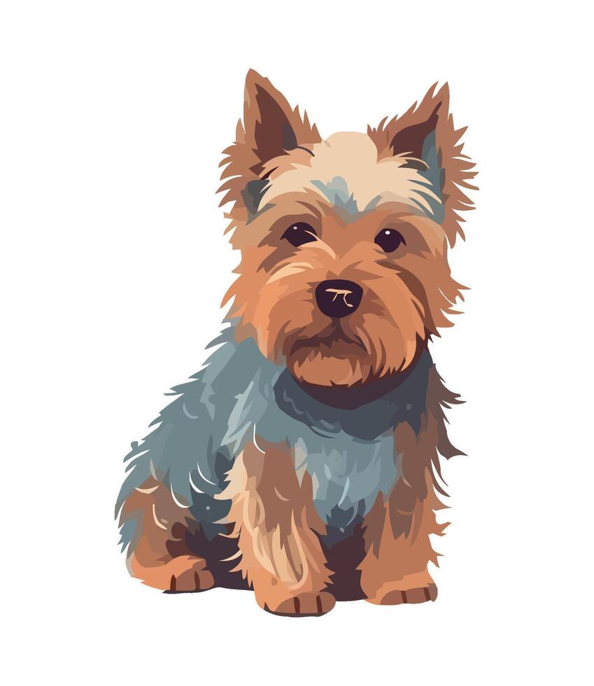 Yorkshire terrier dog illustration vector