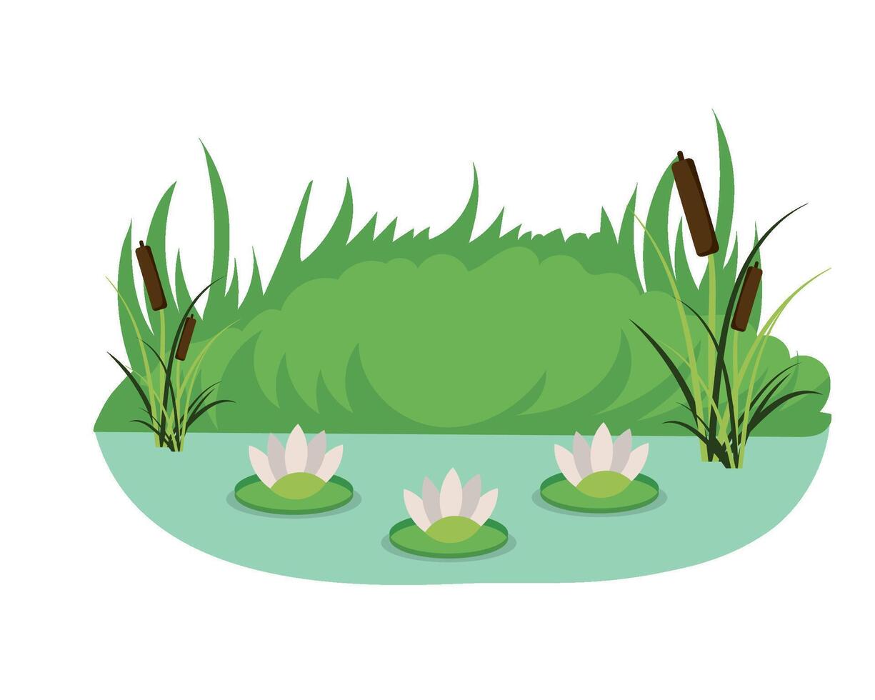 illustration of a pond with water lilies and reeds vector