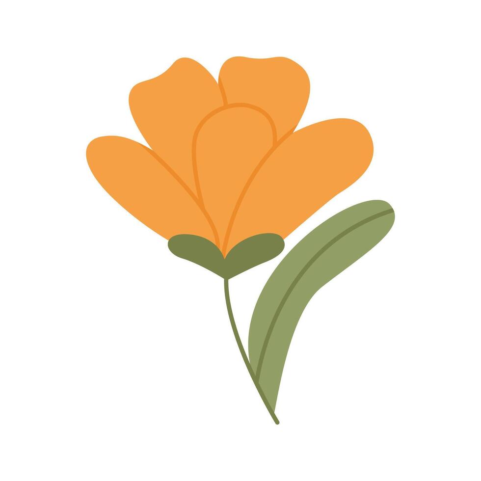 Gentle wild flower. Wild field floral plant. Flat illustration isolated on white background vector