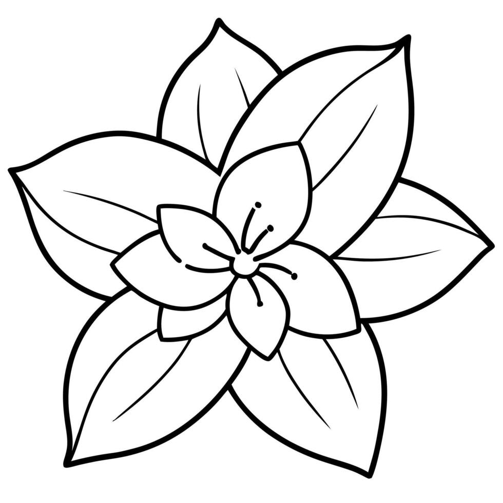 Jasmine Flower Line Art Silhouette Design vector