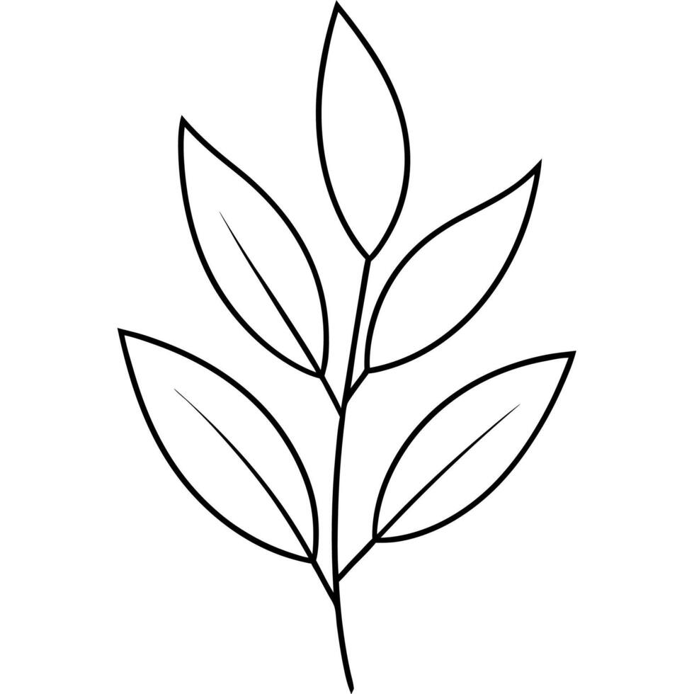 Eucalyptus Foliage Silhouette Design vector