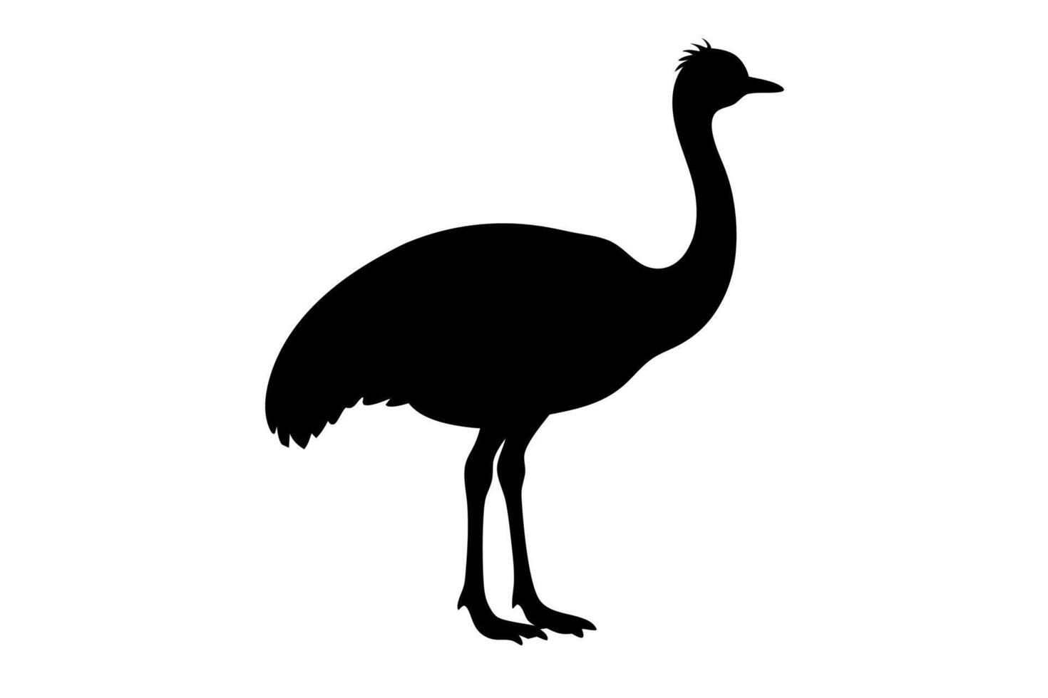 Cassowary Silhouette Illustration vector