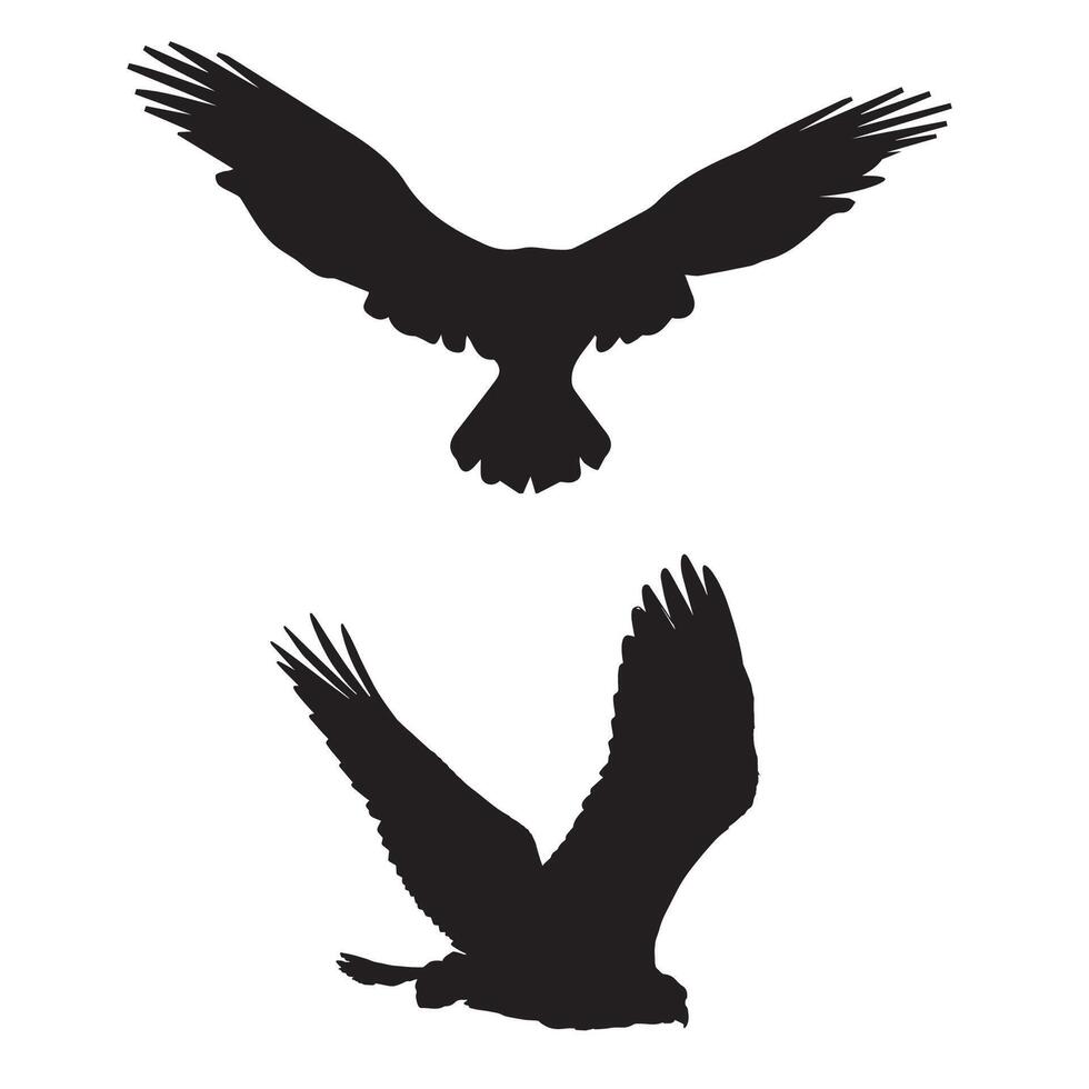 Falcon Silhouette Illustration Sillhouette vector