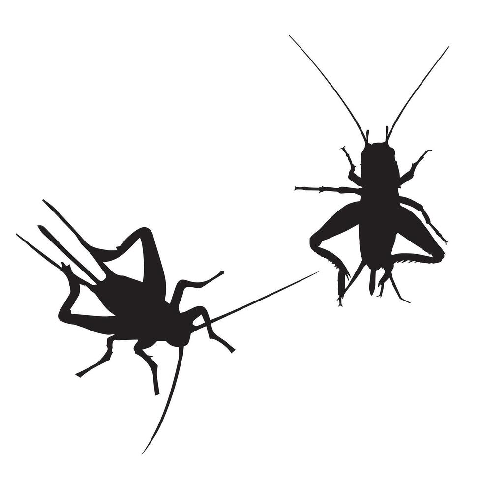 Cricket Silhouette Illustration vector