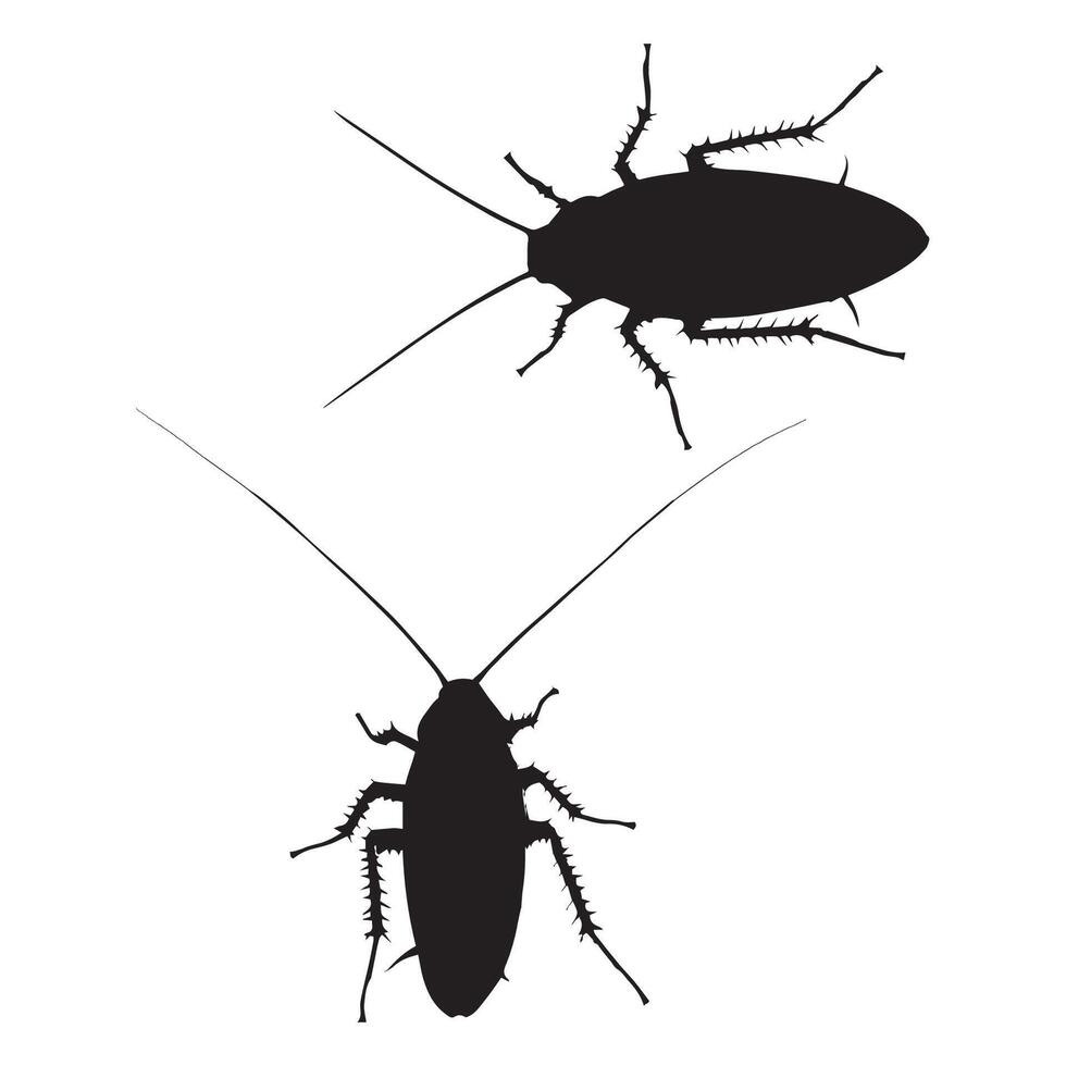 Cockroach Silhouette Illustration vector