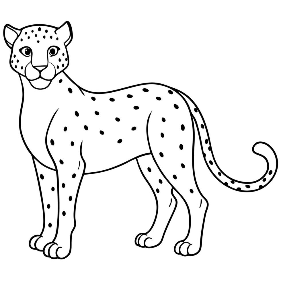 cheetah coloring page vector