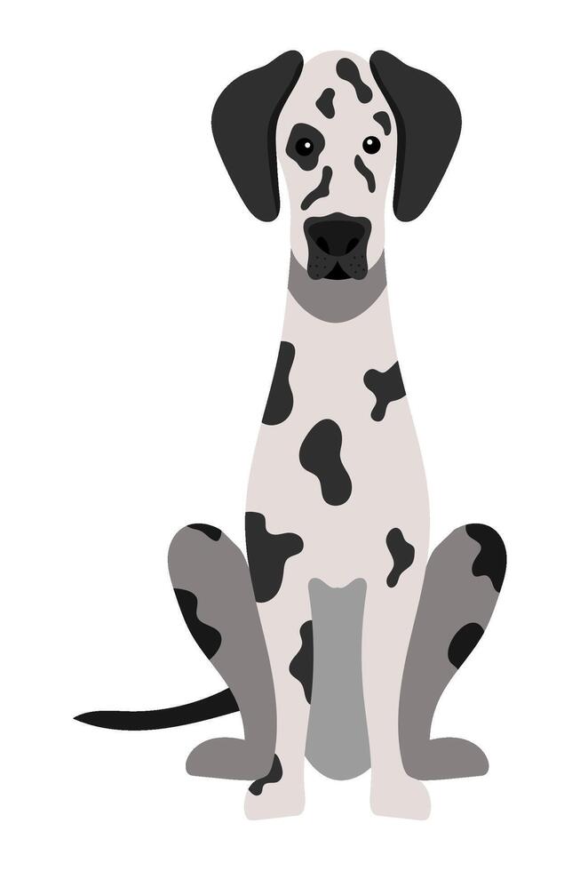Dalmatian dog sitting on the ground illustration vector