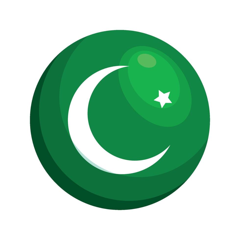 Pakistan flag icon in green and white vector