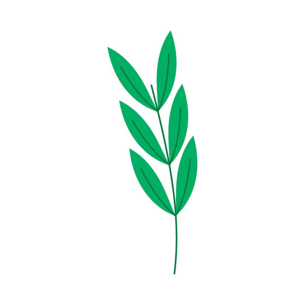 A green plant with leaves on it vector