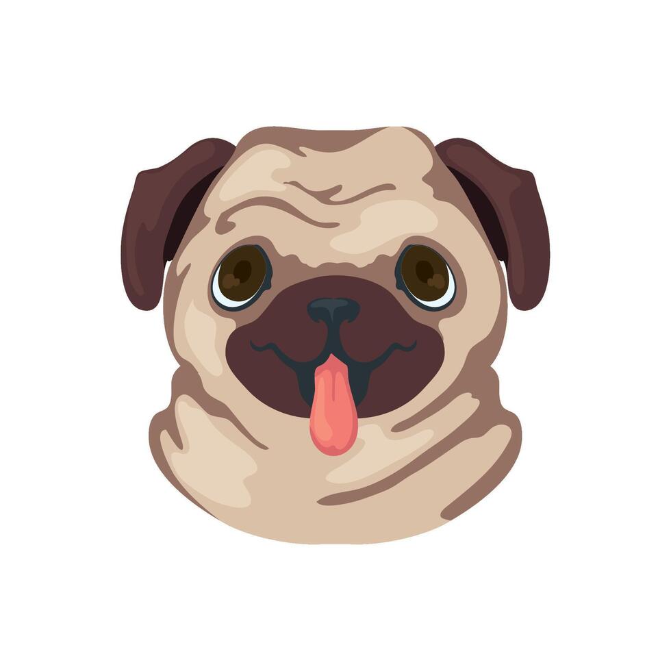 A pug dog with its tongue out on a white background vector