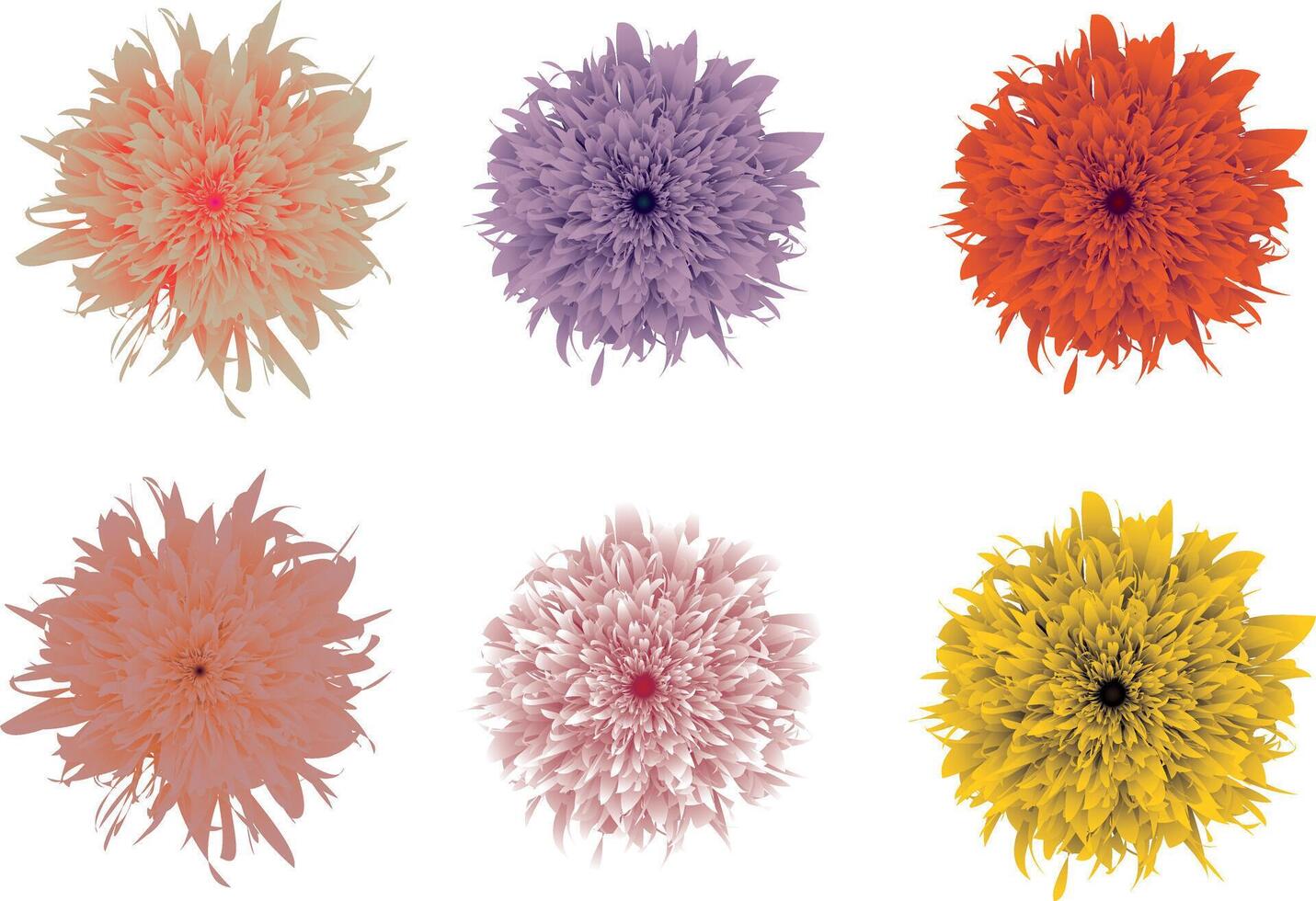 Flowers of different colors. Flower set. vector