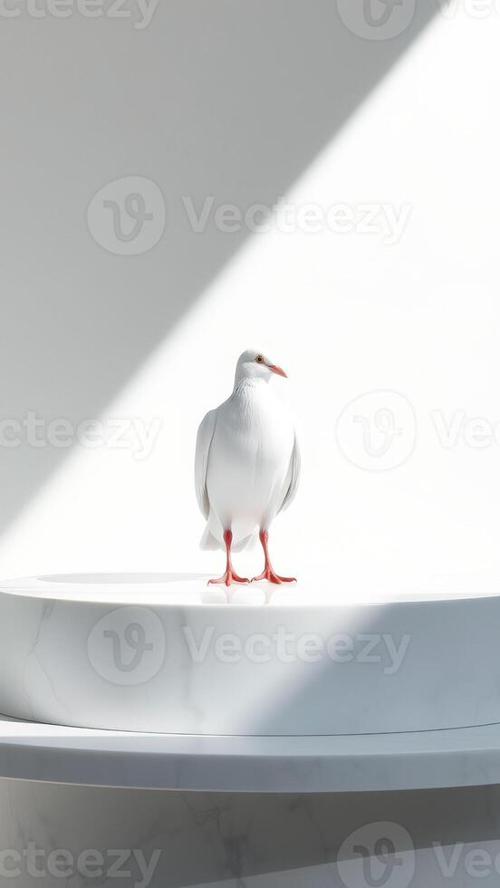 White Dove on Marble Platform with Soft Light photo