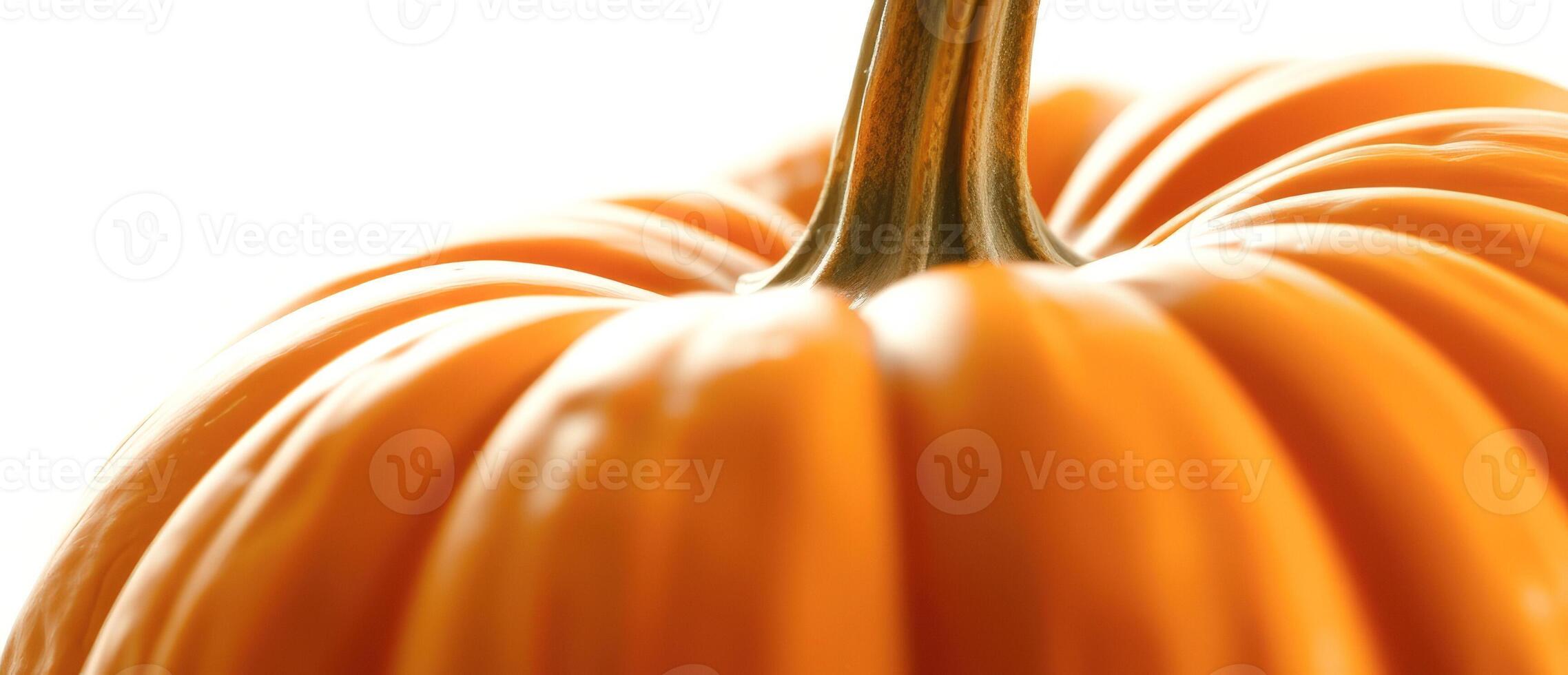 Close-up of a Pumpkin photo