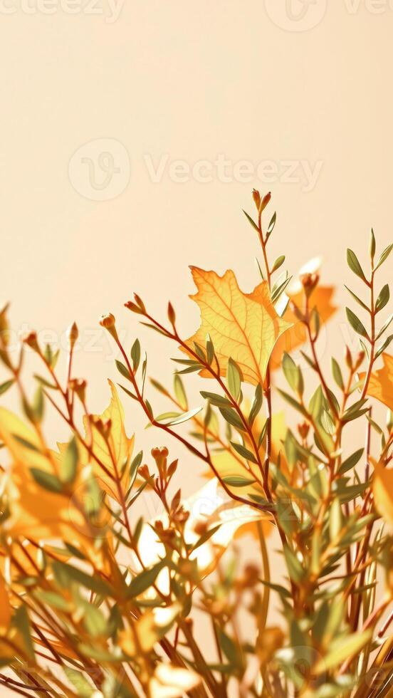 Golden Leaves and Branches Against a Soft Beige Background photo