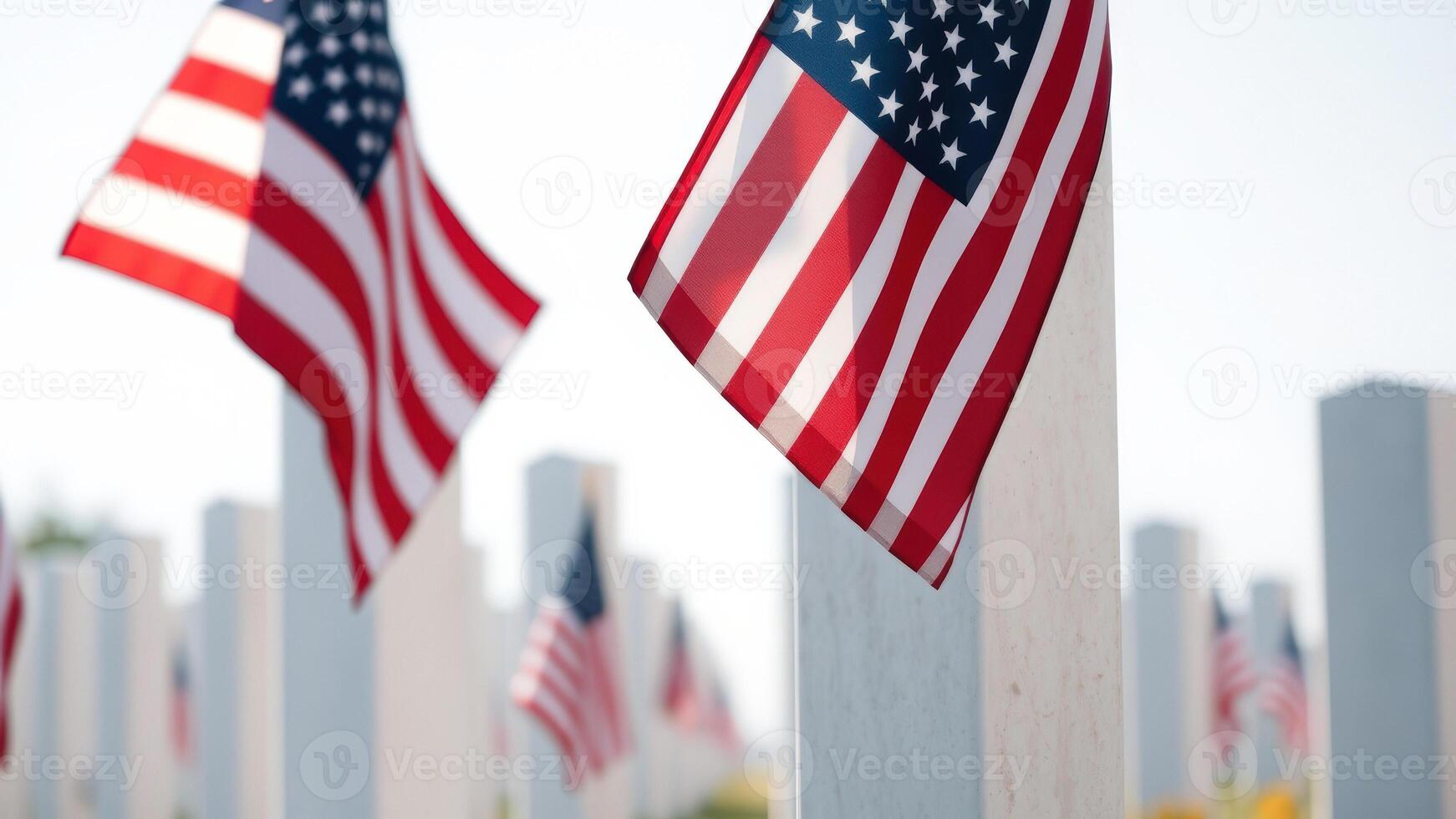 American Flags at a Memorial photo