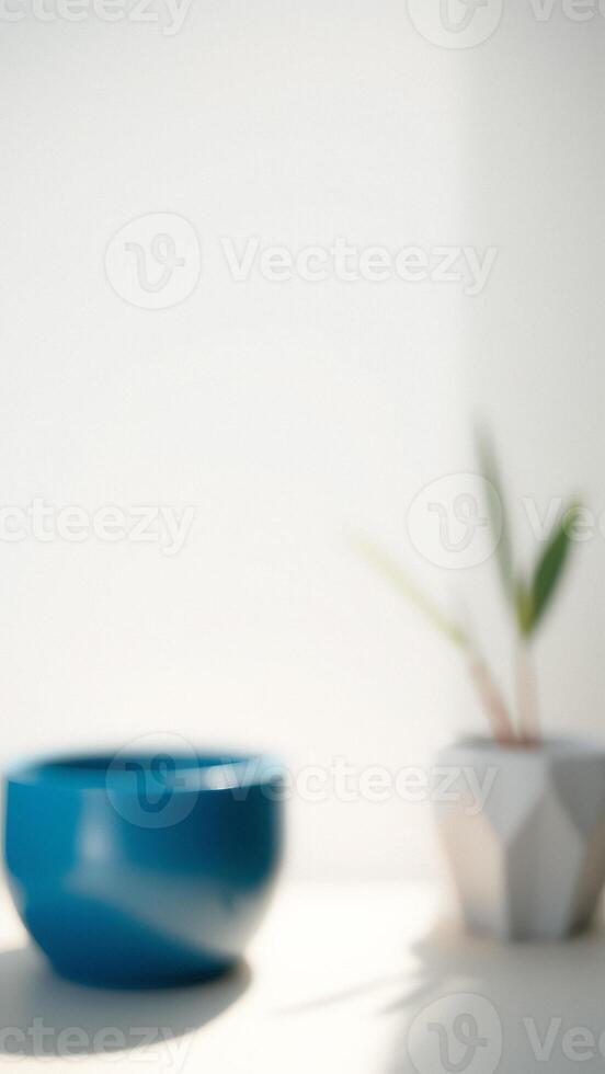 Blurred Minimalist Background with Blue Bowl and Plant photo