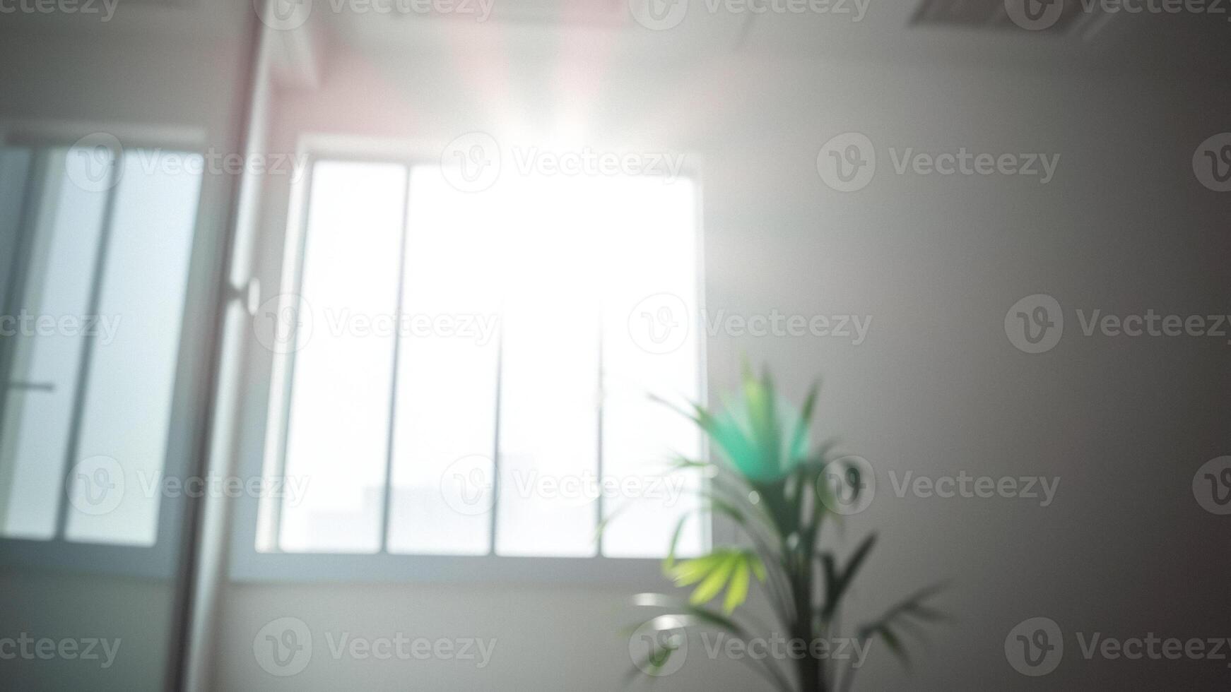 Sunlight Streaming Through Window with Plant in Foreground photo