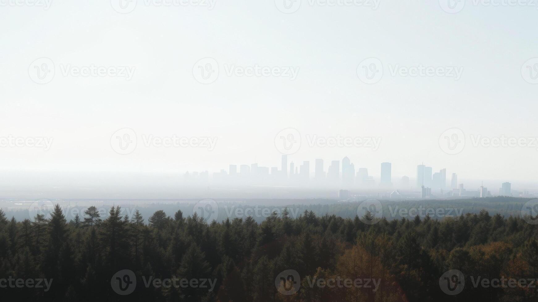 City Skyline Through the Fog photo
