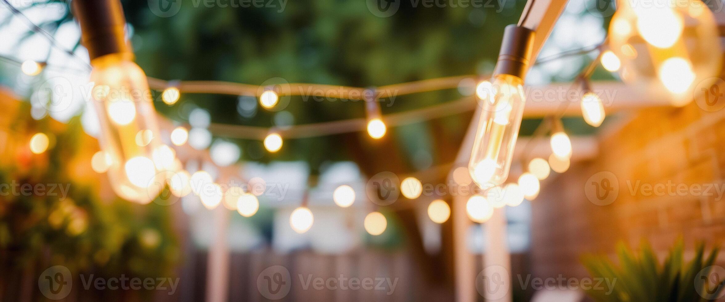 Warm Bokeh Lights in Backyard photo
