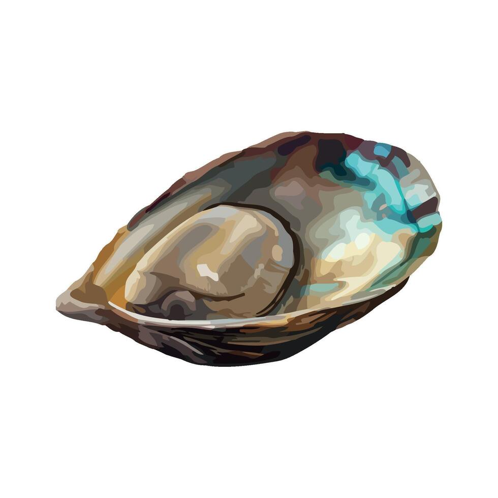 An illustration of an oyster shell vector