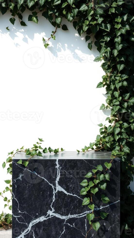 Black Marble Platform With Green Ivy photo