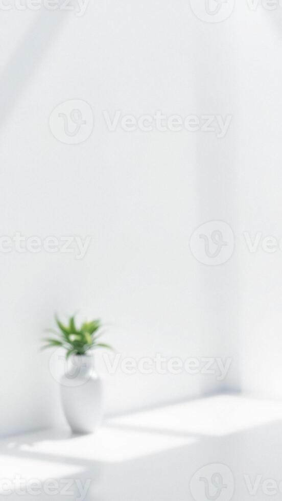 Minimalist White Room with Plant in Vase photo
