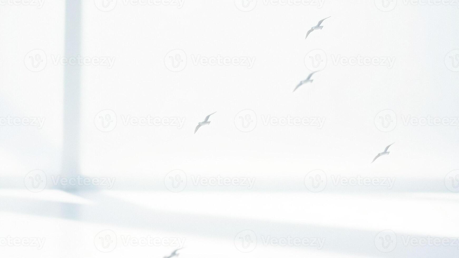 Birds in Flight Against a White Background photo