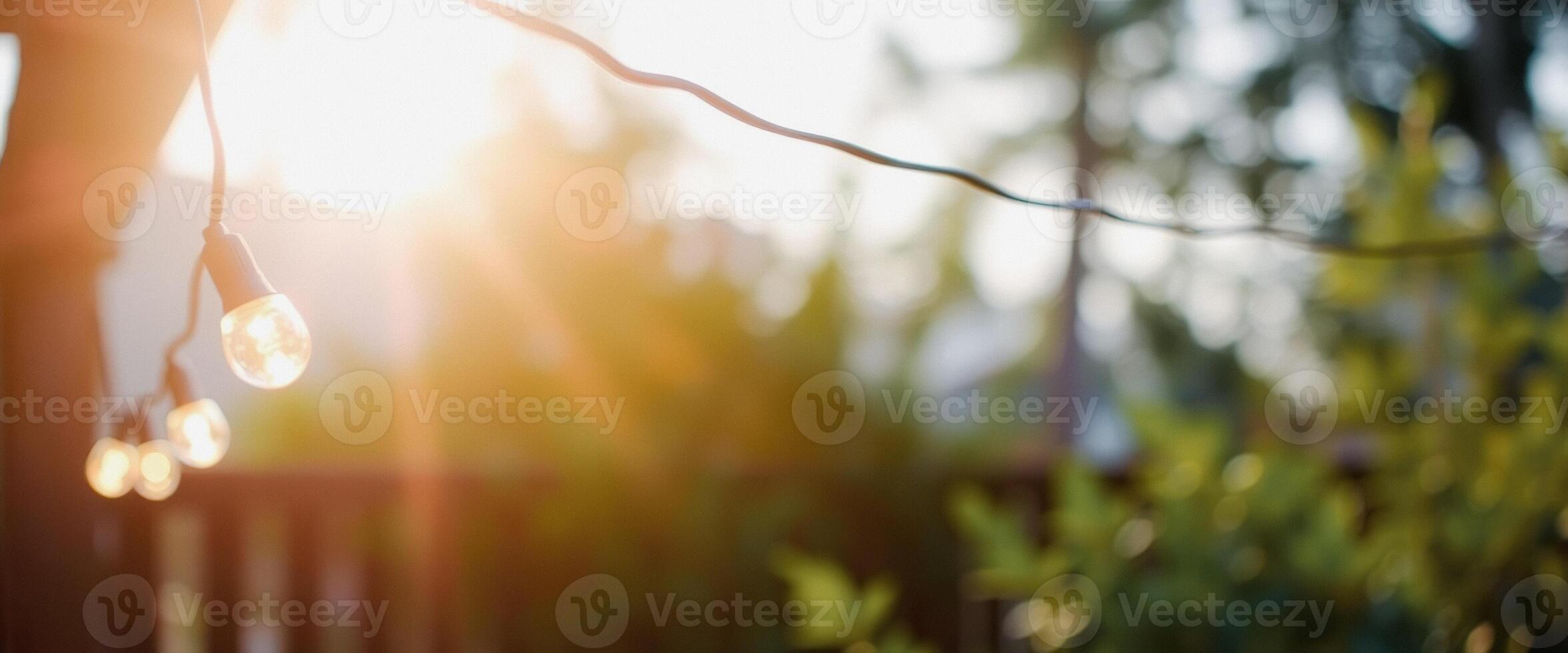 Warm Sunbeams Through String Lights photo