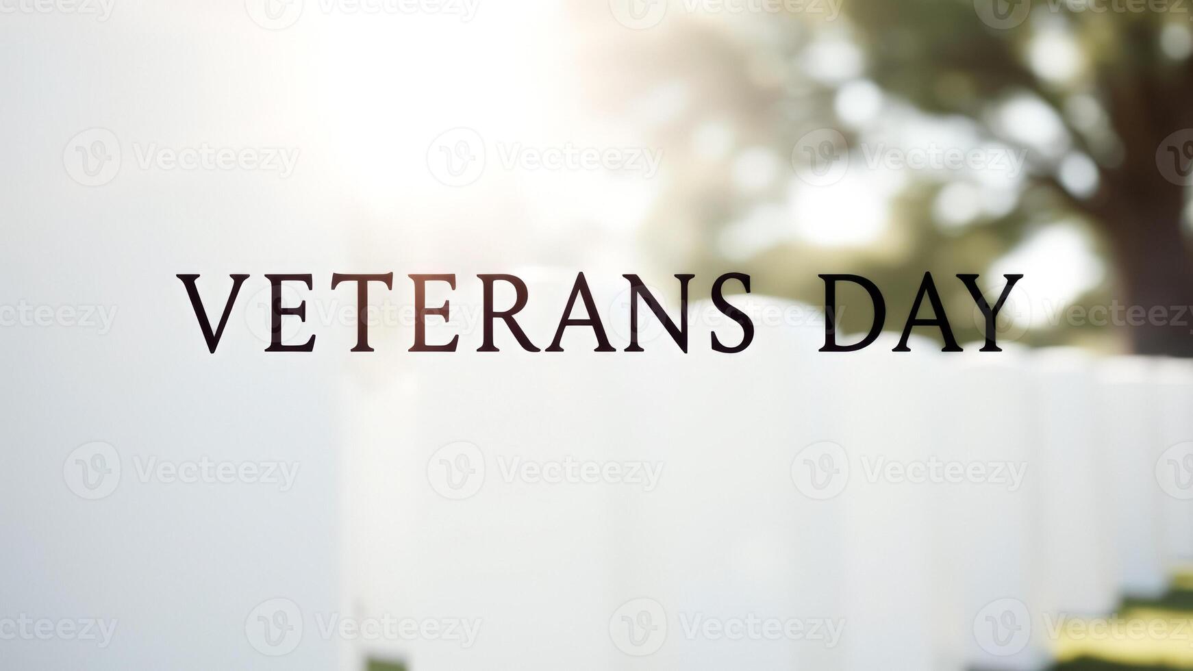 Veterans Day in a cemetery photo