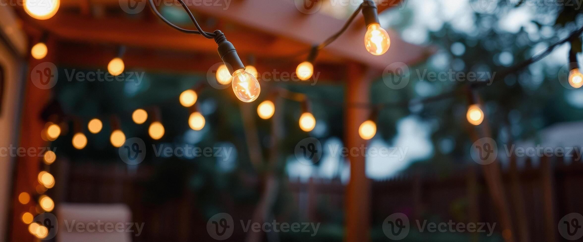 Closeup of String Lights in a Backyard photo