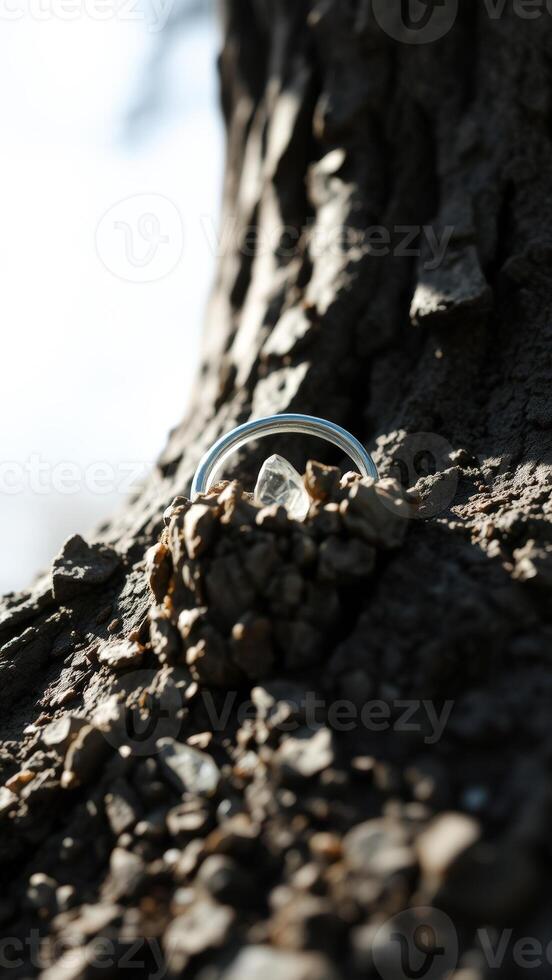 Silver Ring and Crystal in Tree Bark photo