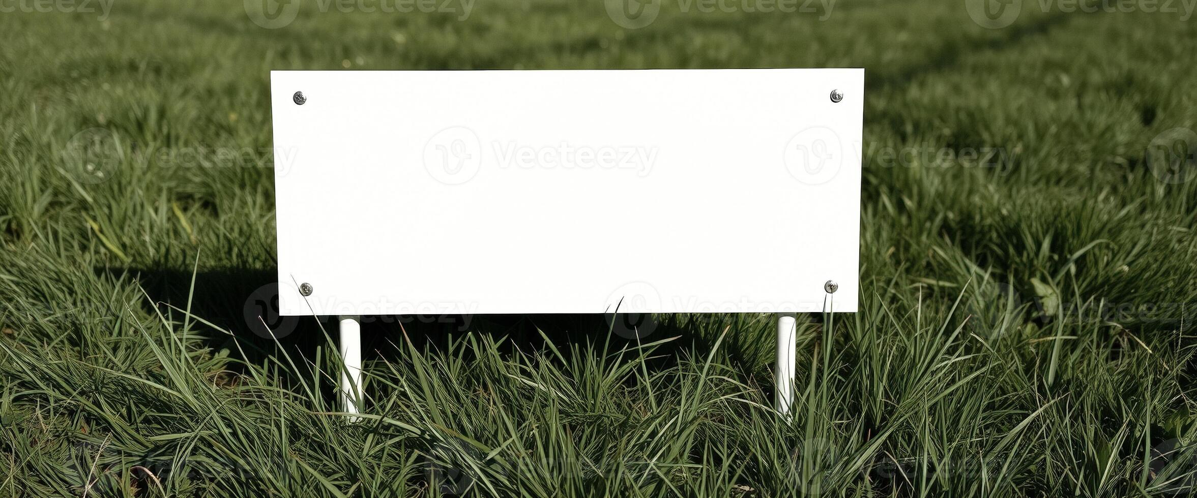 Blank Sign in Grass photo