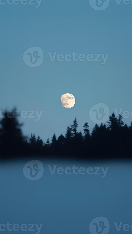 Moon over Trees photo