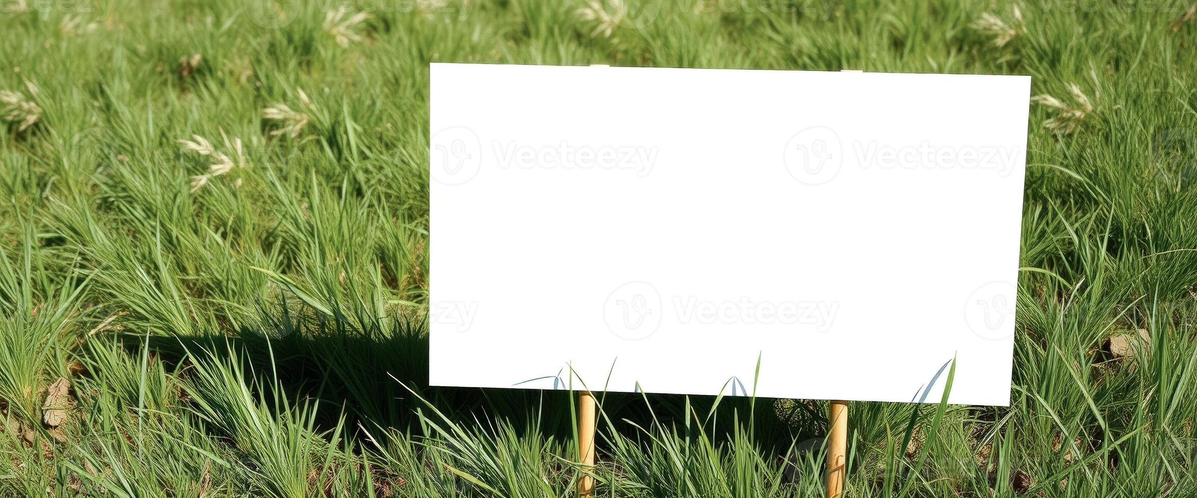 Blank Sign in a Field of Grass photo