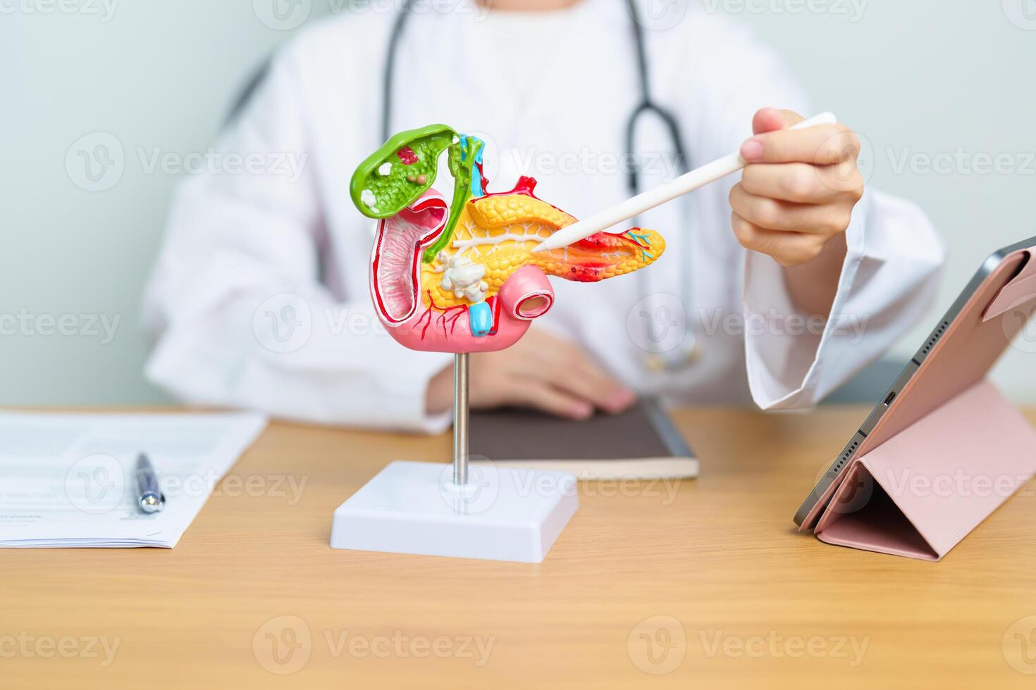 Doctor with human Pancreatitis anatomy model with Pancreas, Gallbladder, Bile Duct, Duodenum, Small intestine and tablet. Pancreatic cancer, acute pancreatitis and Digestive system photo