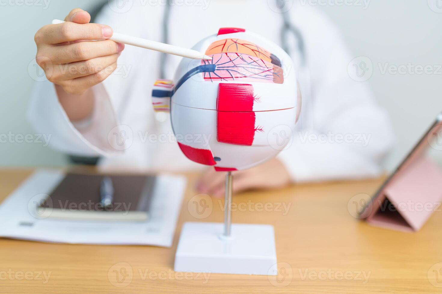 Doctor with human Eye anatomy model with magnifying glass. Eye disease, Refractive Errors, Age Related Macular Degeneration, Cataract, Diabetic Retinopathy, Glaucoma, Amblyopia, Strabismus and Health photo