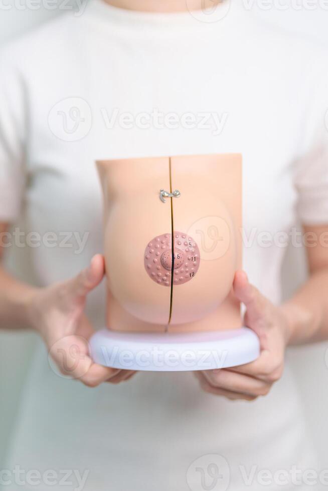 Woman holding Breast Anatomy model. Breast Augmentation Surgery, October Breast Cancer Awareness month, Pregnant, Diagnosis, Beauty woman enlargement and medical concept photo
