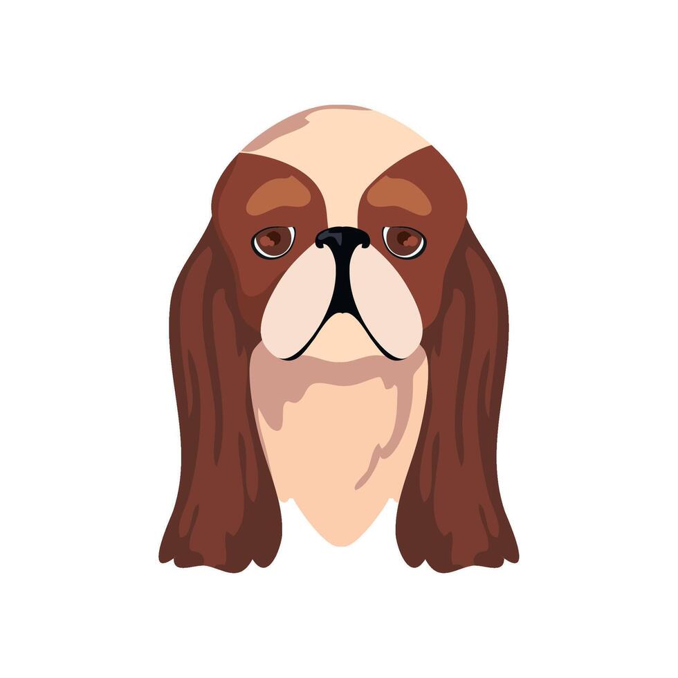 A dog with brown and white fur on a white background vector