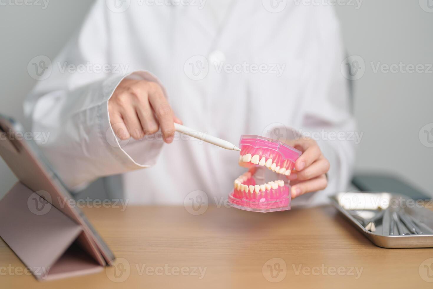 Dentist with tooth Anatomy model. Oral Teeth and disease, Scrape off tartar. March Oral health, Dentist Day, False Teeth. Toothache and Children Dental Health Month and Orthodontic Health Day photo