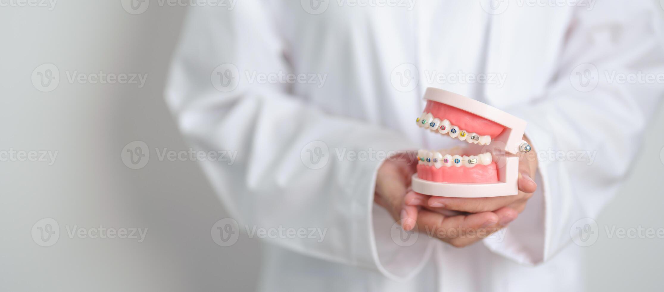 Dentist with Orthodontic tooth model and bracket or brace. Clean and Scrape off tartar. May Orthodontic Health Day, March Oral health, Dentist Day, False Teeth. Toothache and Children Dental Health photo