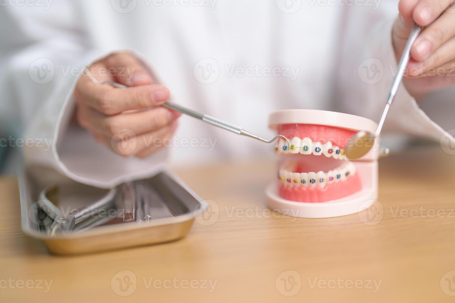 Dentist with Orthodontic tooth model and bracket or brace. Clean and Scrape off tartar. May Orthodontic Health Day, March Oral health, Dentist Day, False Teeth. Toothache and Children Dental Health photo