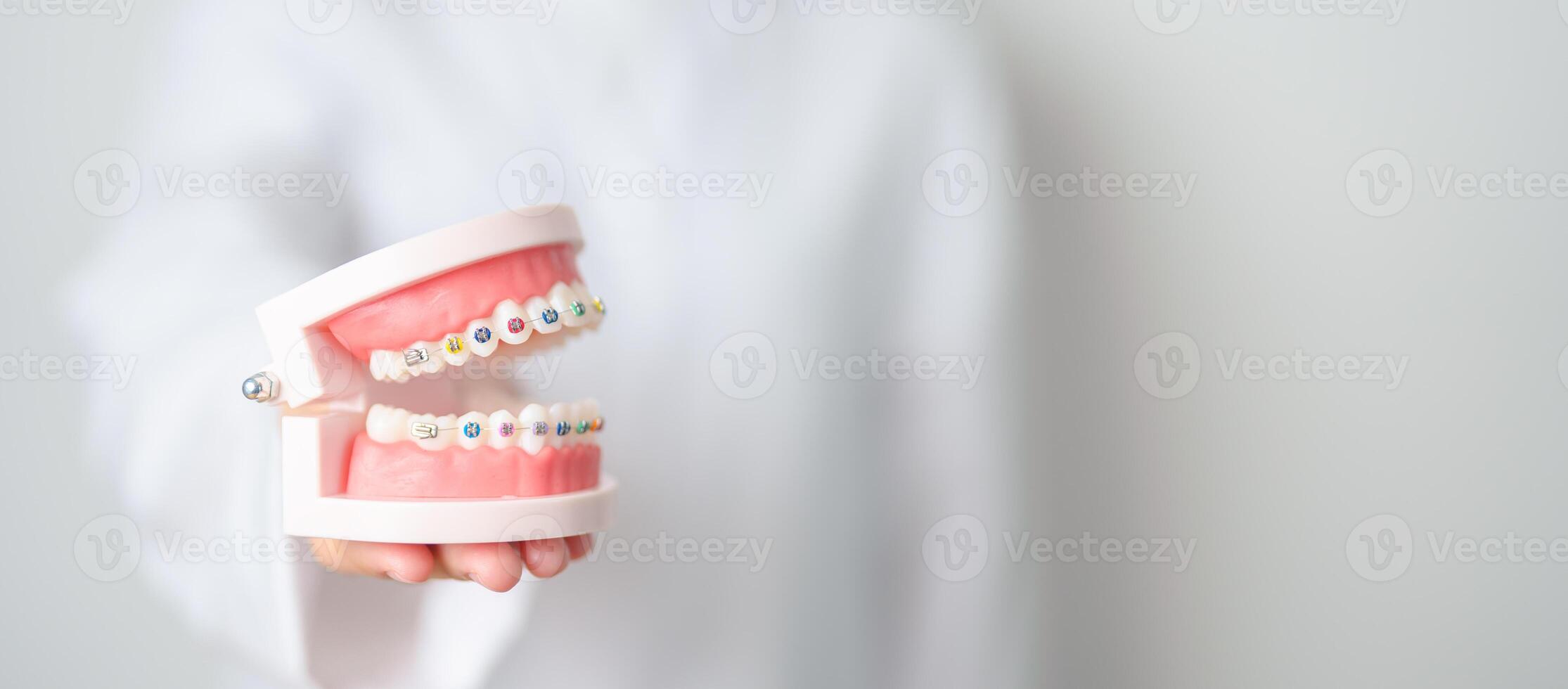 Dentist with Orthodontic tooth model and bracket or brace. Clean and Scrape off tartar. May Orthodontic Health Day, March Oral health, Dentist Day, False Teeth. Toothache and Children Dental Health photo