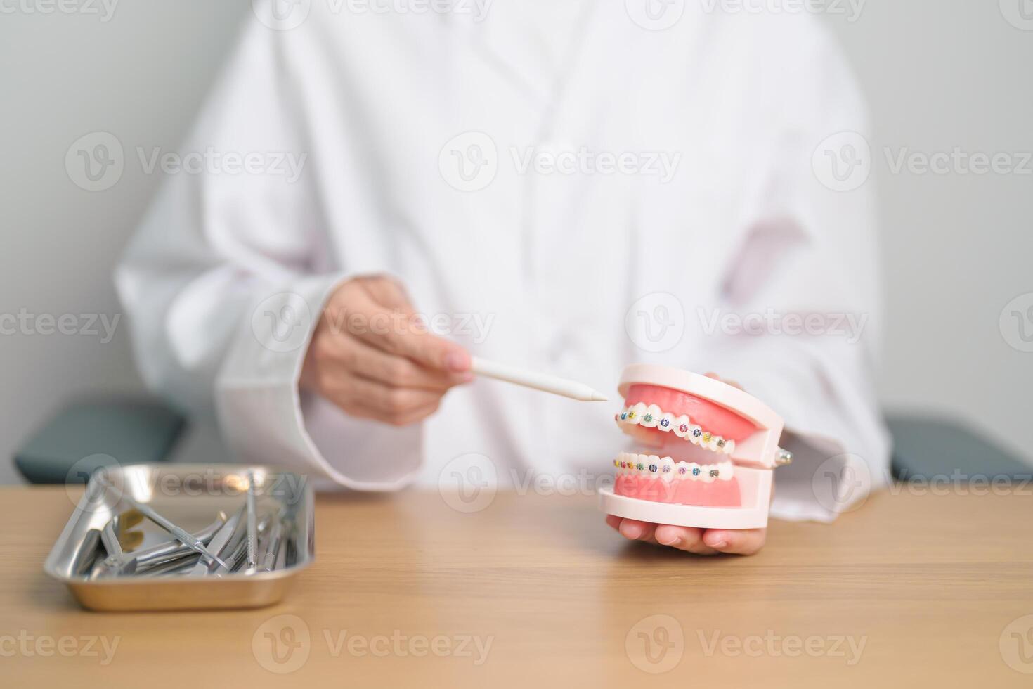 Dentist with Orthodontic tooth model and bracket or brace. Clean and Scrape off tartar. May Orthodontic Health Day, March Oral health, Dentist Day, False Teeth. Toothache and Children Dental Health photo