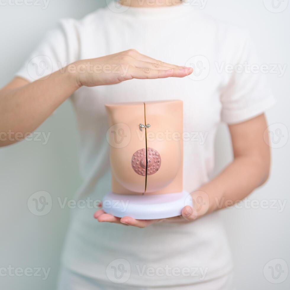 woman hand cover Breast Anatomy model. Breast Augmentation Surgery, October Breast Cancer Awareness month, implant, Diagnosis, Beauty woman enlargement and medical education concept photo