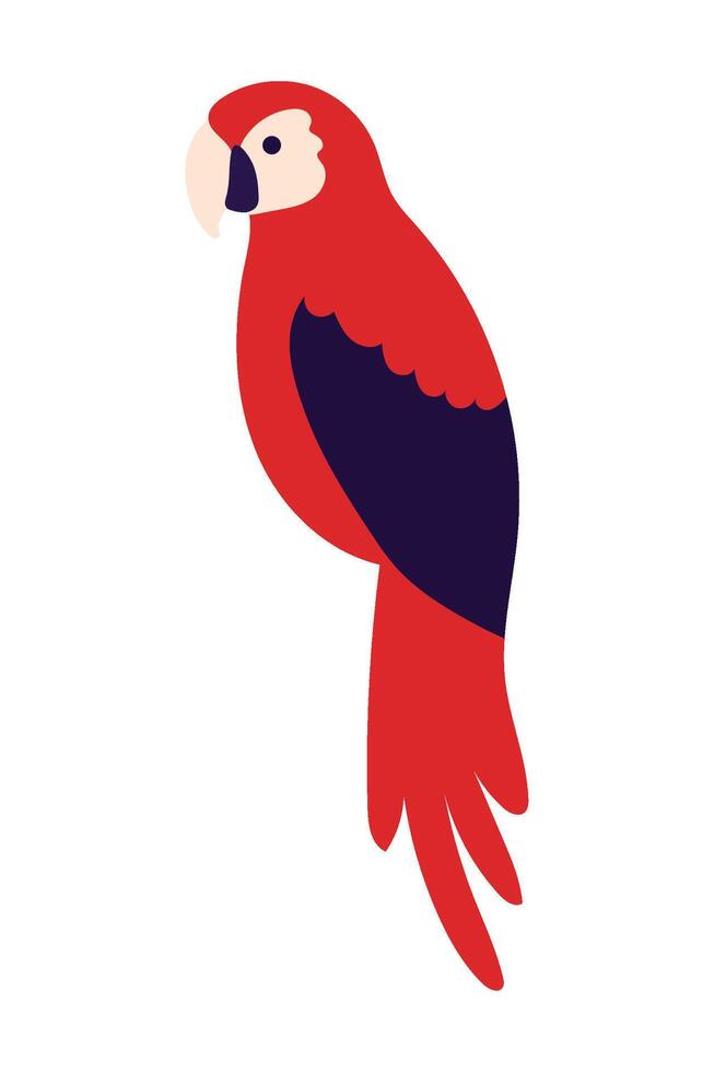 A red parrot with a black beak and blue tail vector