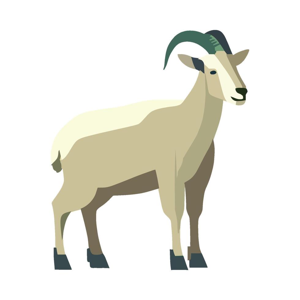 A goat with horns standing on a white background vector