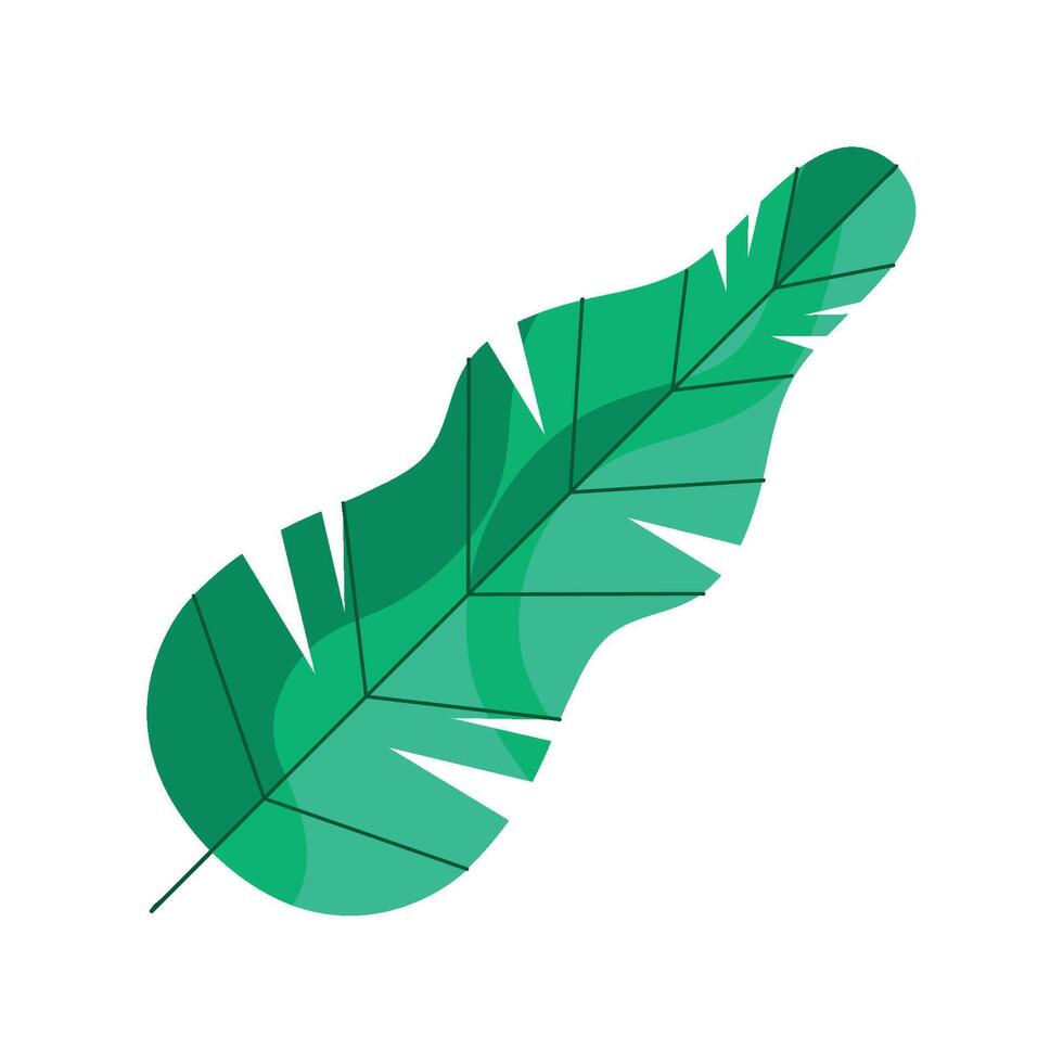 Banana leaf icon illustration vector