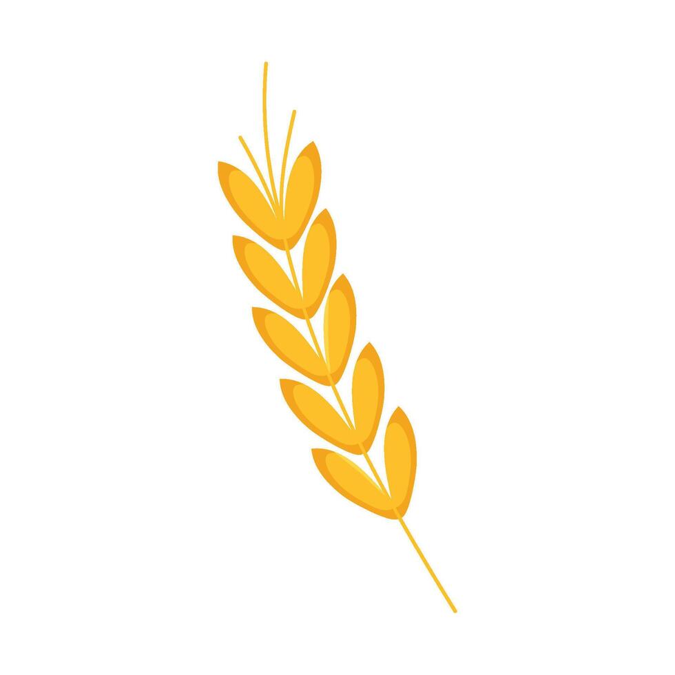 A wheat ear on a white background vector