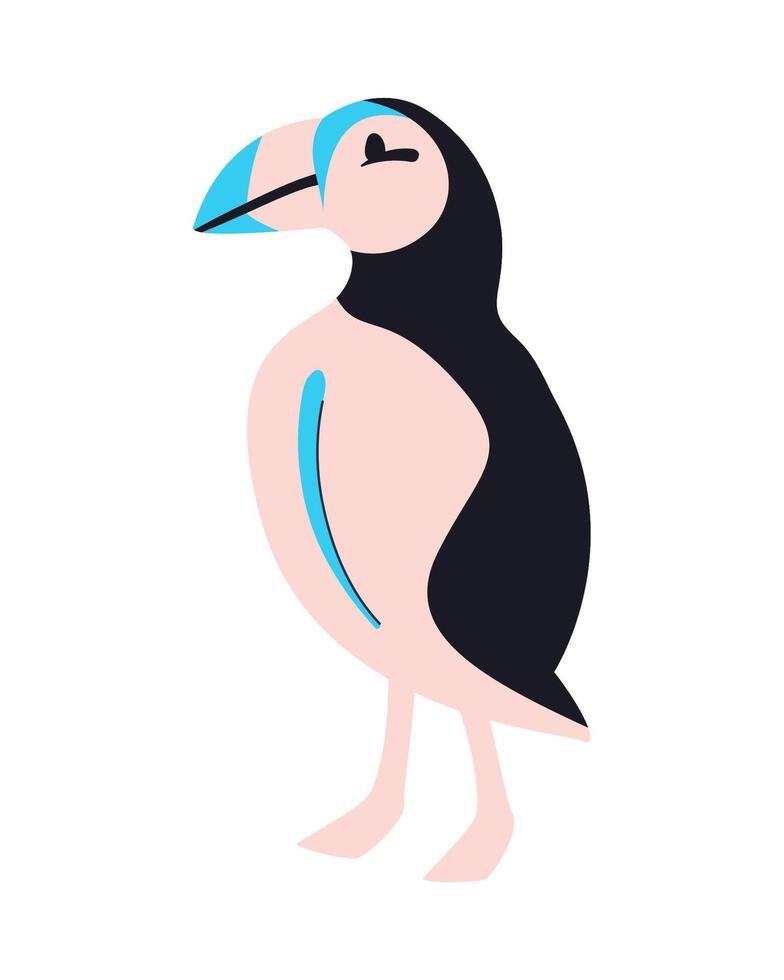 Puffin bird illustration vector