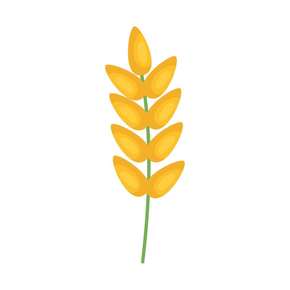 A yellow wheat plant on a white background vector